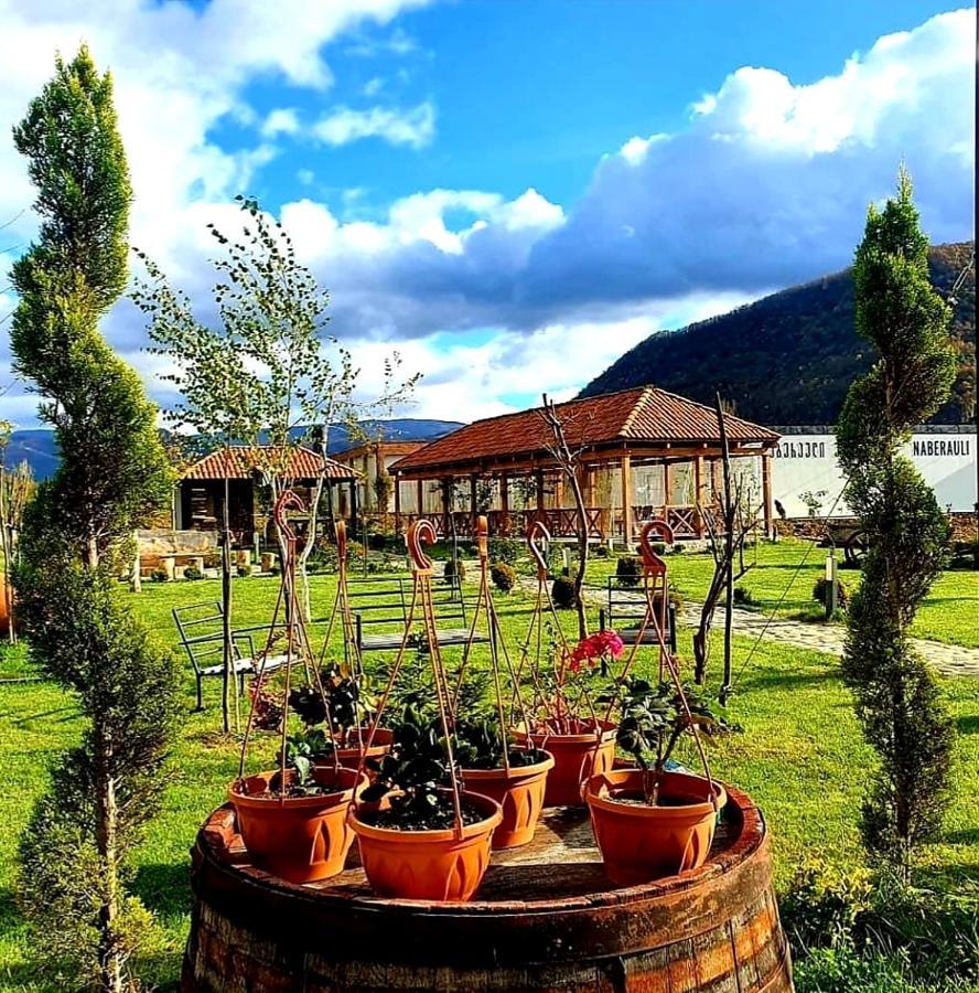 Hotel Karse Ambrolauri Zewnętrze zdjęcie
