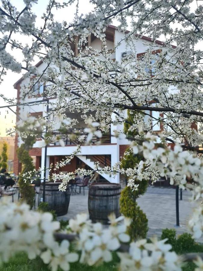 Hotel Karse Ambrolauri Zewnętrze zdjęcie